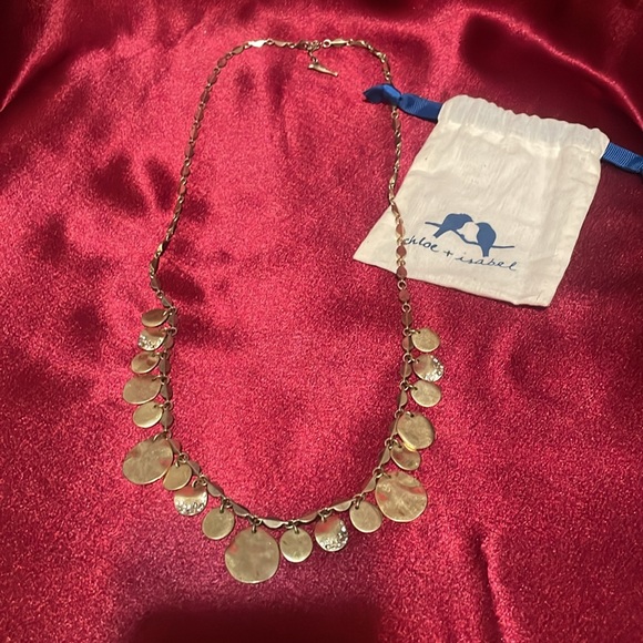 Chloe & Isabel Pave Paillette Necklace - Picture 4 of 4